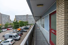 F09 1014STM Rubicondreef100.jpg